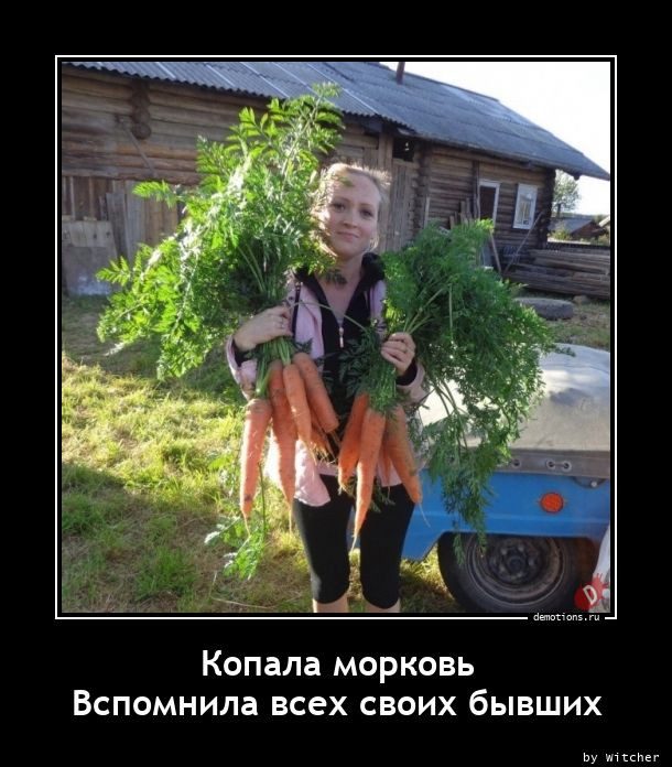Демотиваторы дня
