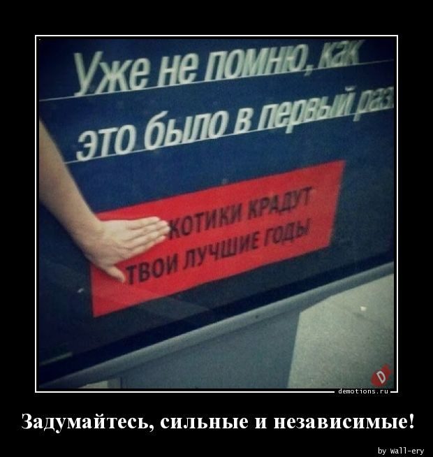 Демотиваторы дня