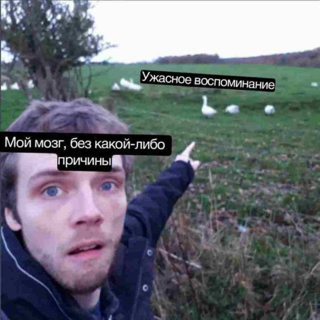 Лучшие шутки и мемы из Сети