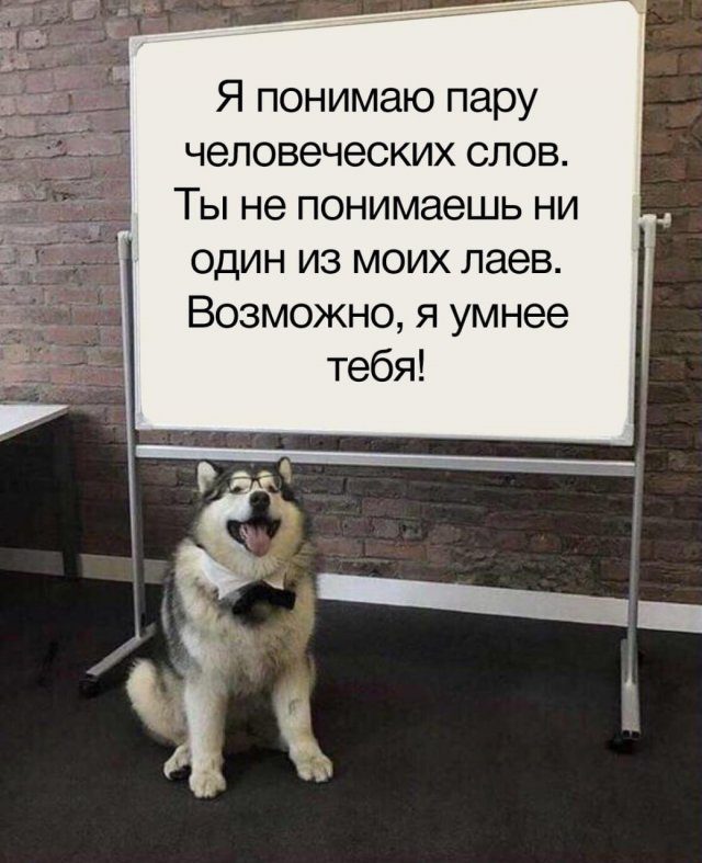 Лучшие шутки и мемы из Сети