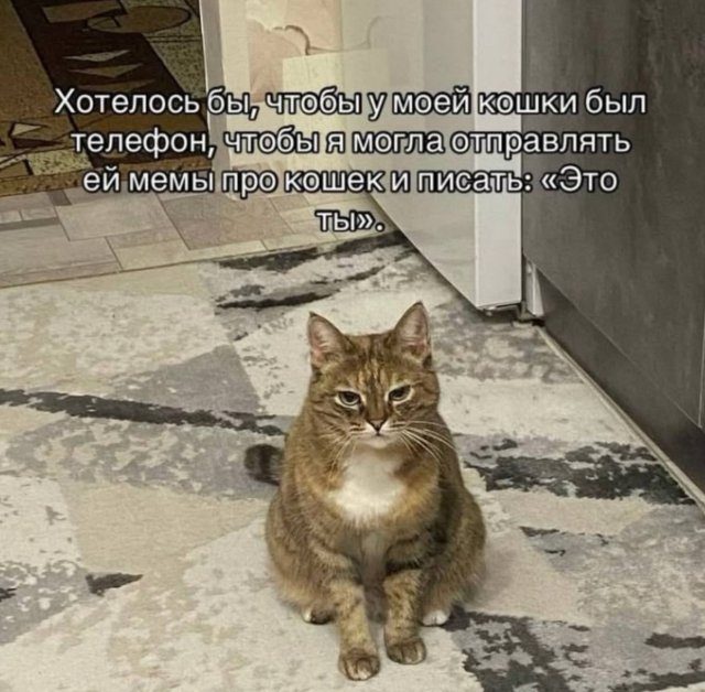 Смешные мемы