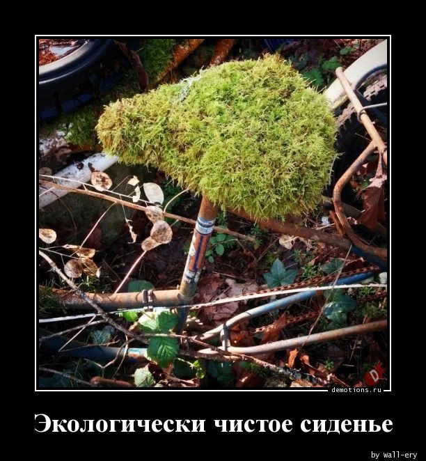 Свежая подборка демотиваторов