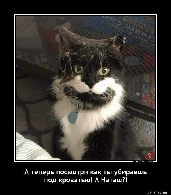Свежая подборка демотиваторов