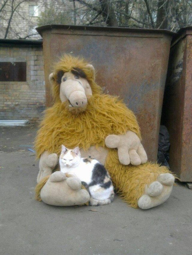 Фотоприколы для всех