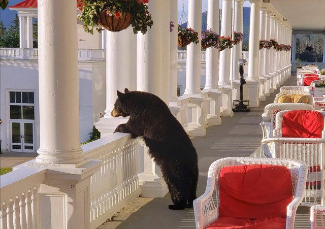 Фотоприколы для всех