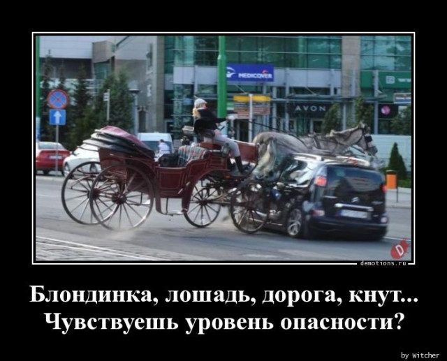 Демотиваторы на любой вкус