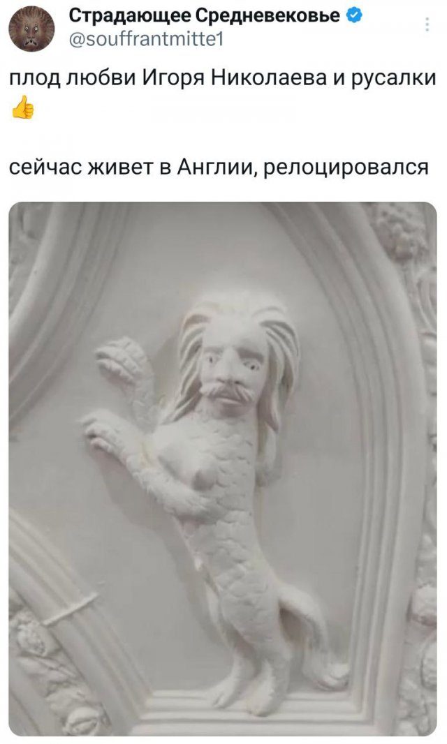 Лучшие шутки и мемы