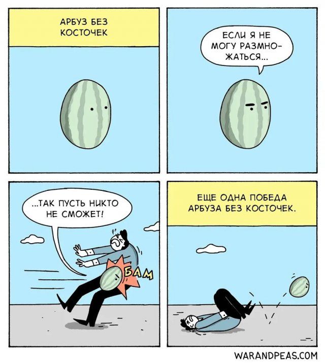 Лучшие шутки и мемы