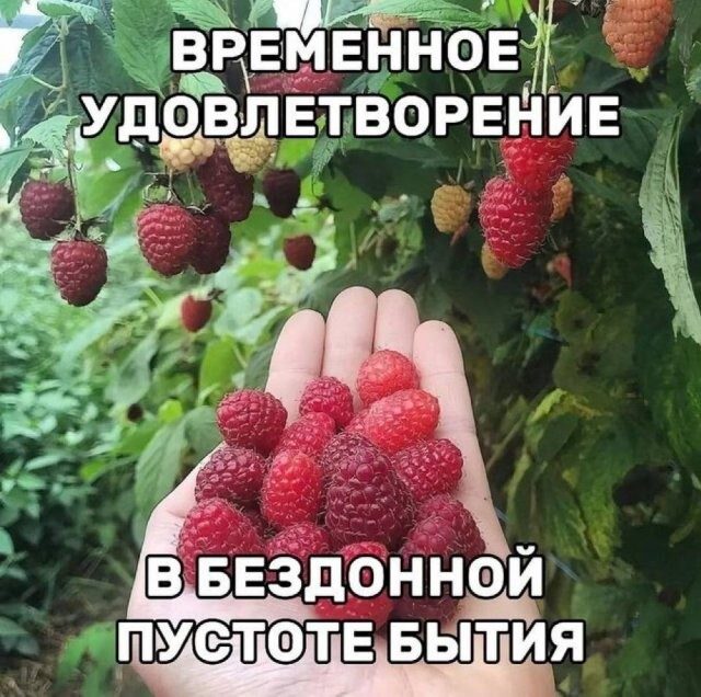 Скрины из соцсетей