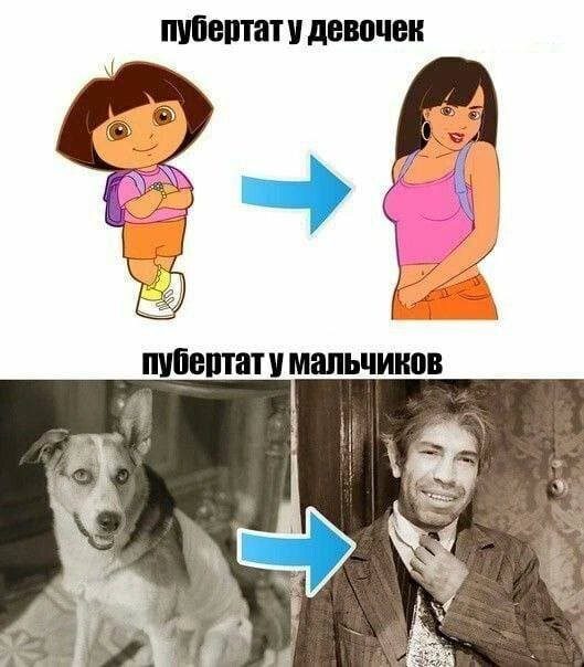 Приколы соцсетей