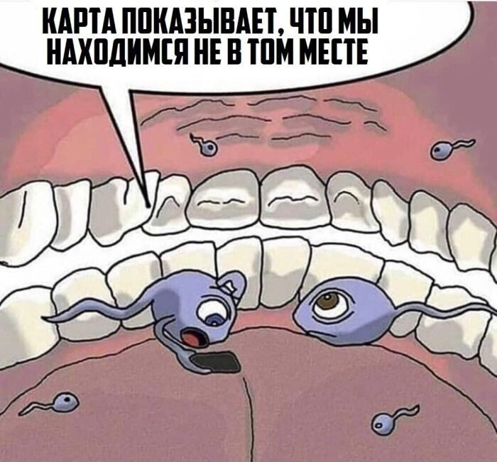 Не ищите здесь смысл. Здесь в основном маразм
