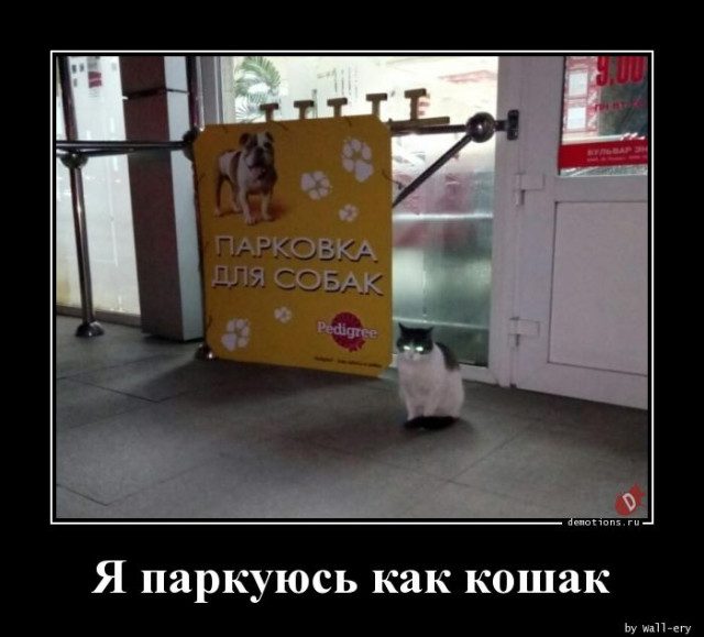 Демотиваторов пост