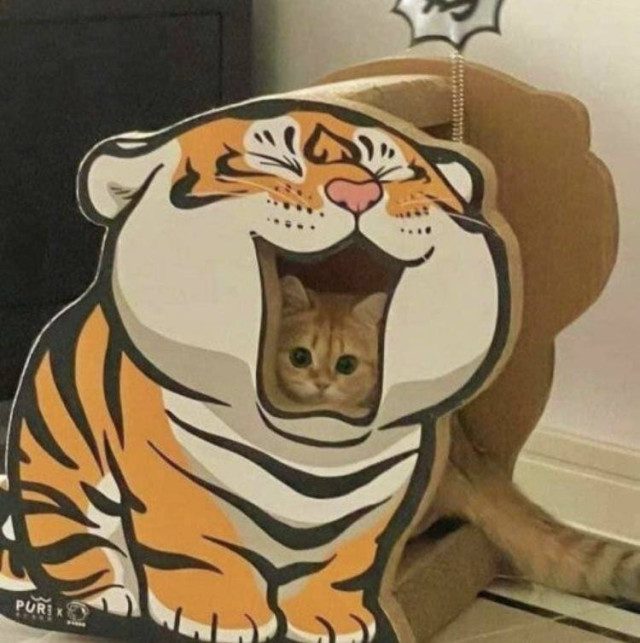 Фотоприколы