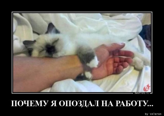 Демотиваторы