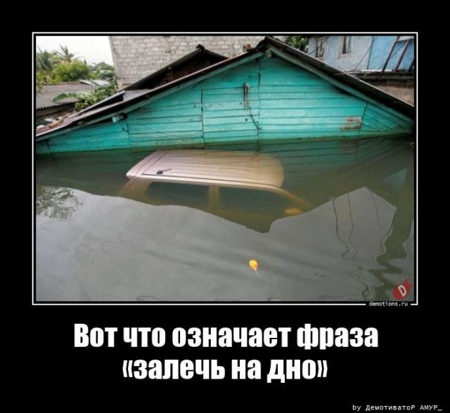 Демотиваторы