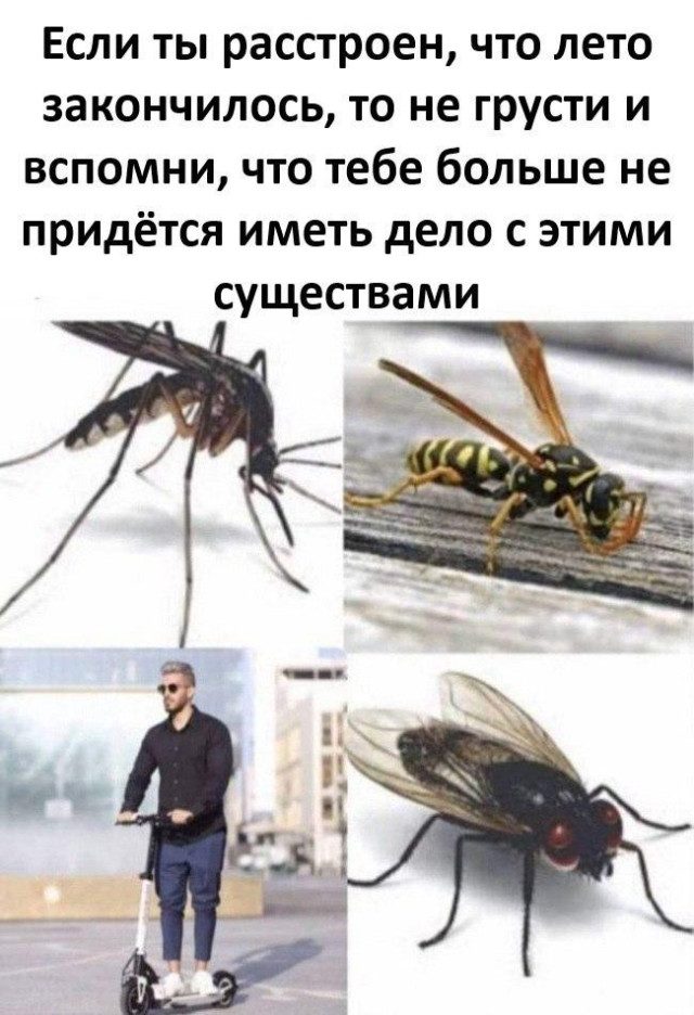 Прикольные картинки для хорошего настроения