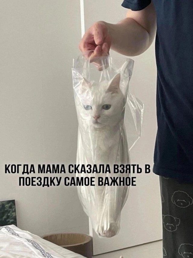 Фотоприколы