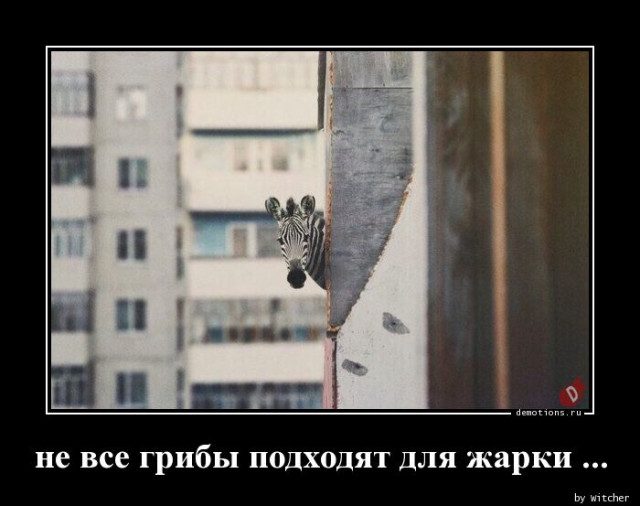 Свежие и прикольные демотиваторы