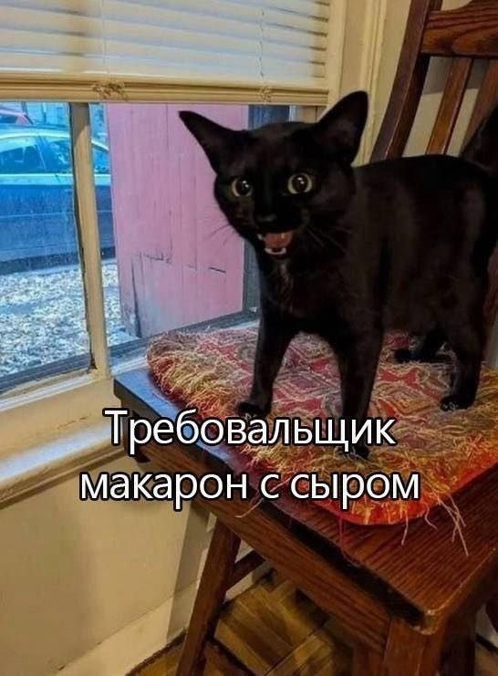 Лучшие шутки и мемы из Сети