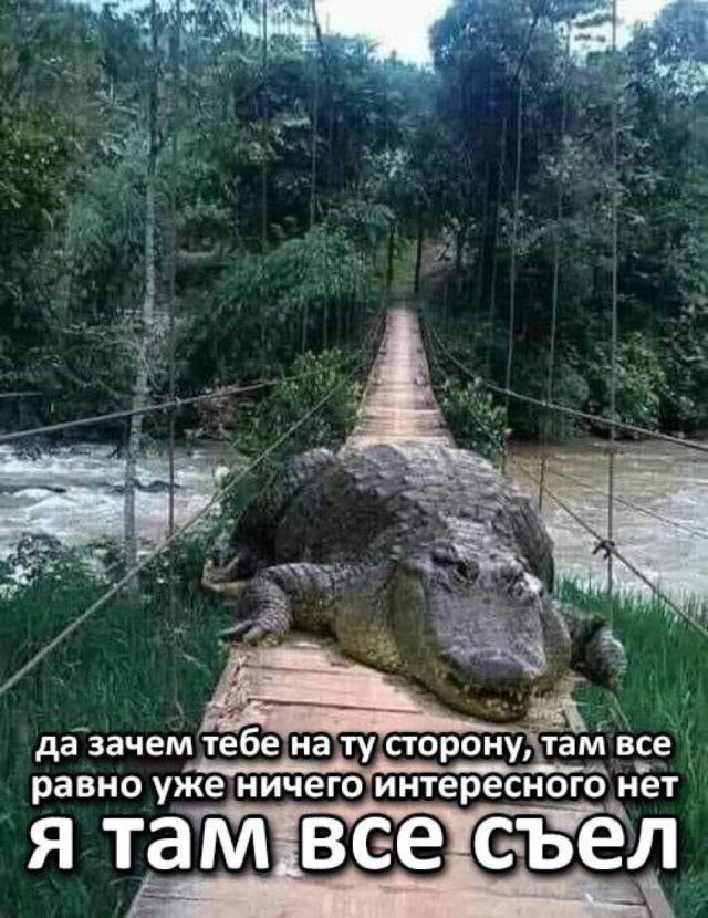 Лучшие шутки и мемы из Сети