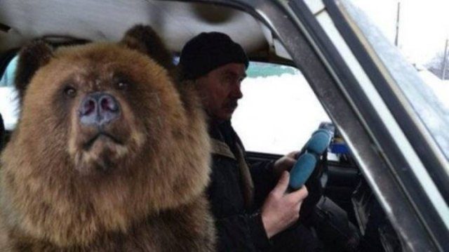 Подборка картинок. Вечерний выпуск