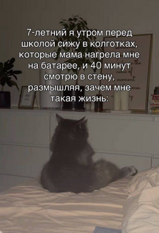 Лучшие шутки и мемы из Сети