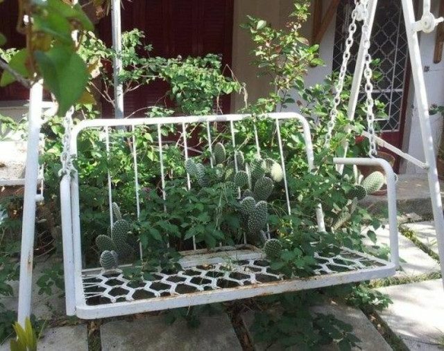 Весёлые картинки дня