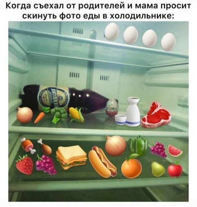 Весёлые картинки дня