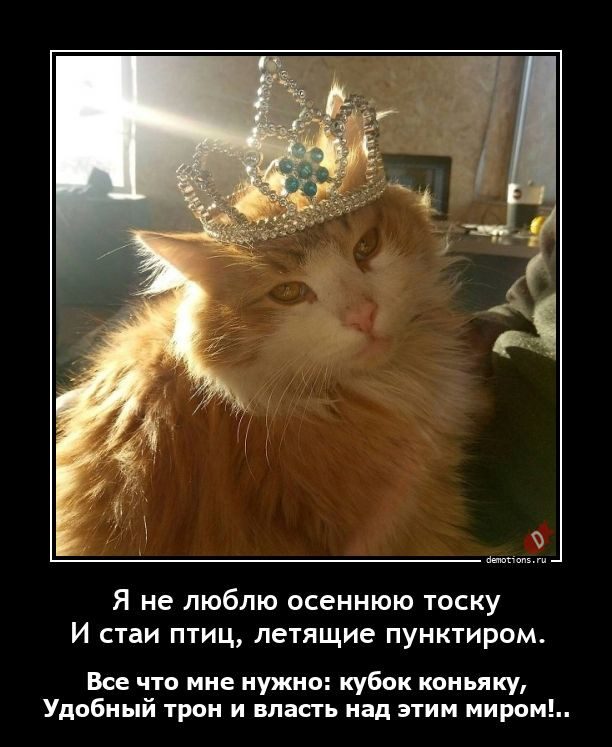 Демотиваторы дня