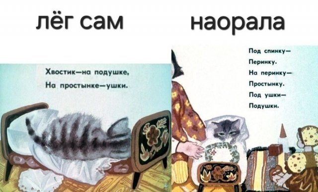 Лучшие шутки и мемы