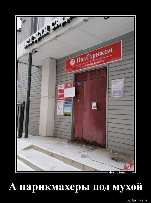 Демотиваторы дня