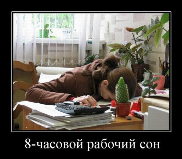 Демотиваторы дня