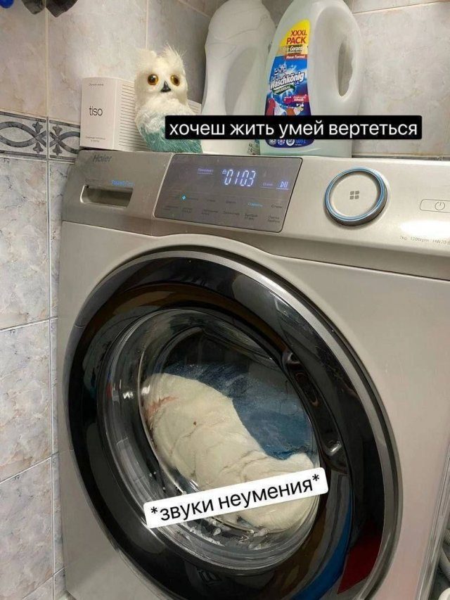 Лучшие шутки и мемы