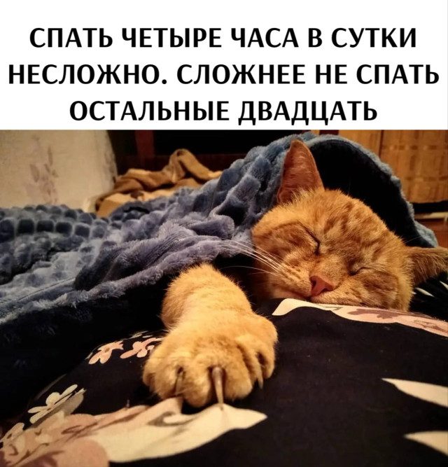 Весёлые картинки