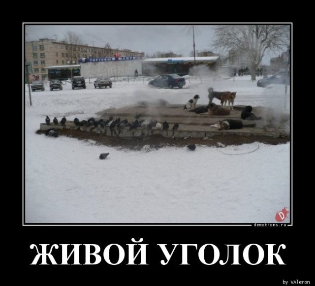 Демотиваторы для настоящих ценителей