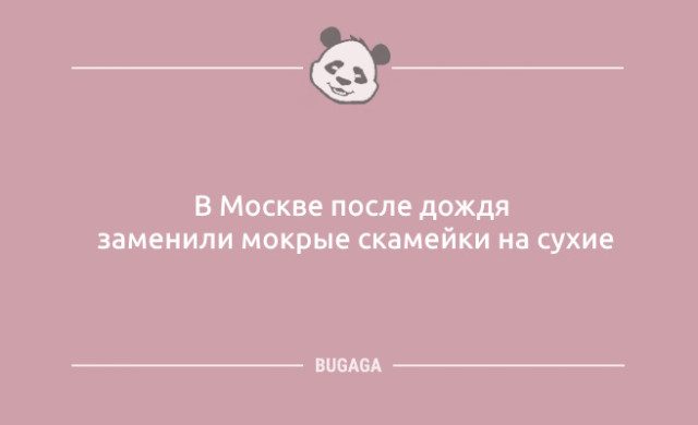 Анекдоты дня