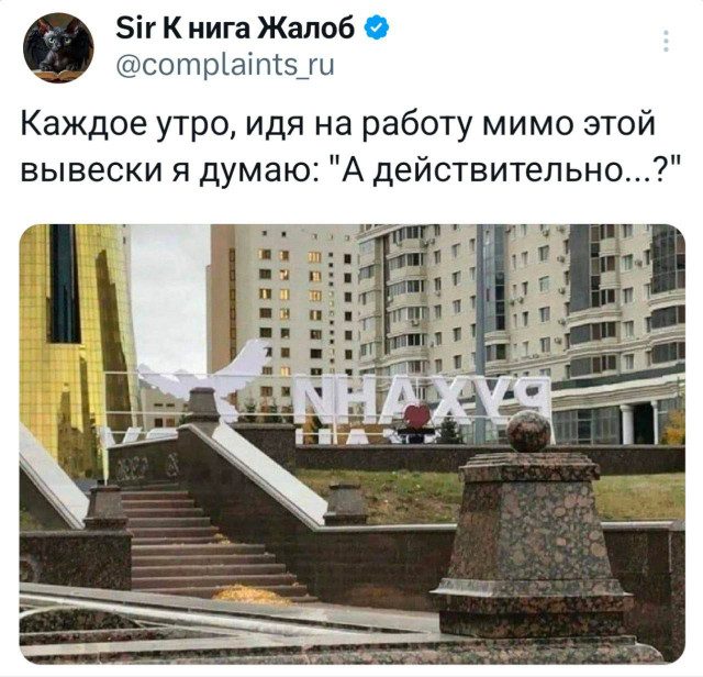 Прикольные картинки для всех и для каждого