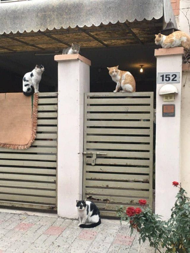 Прикольные картинки для всех и для каждого
