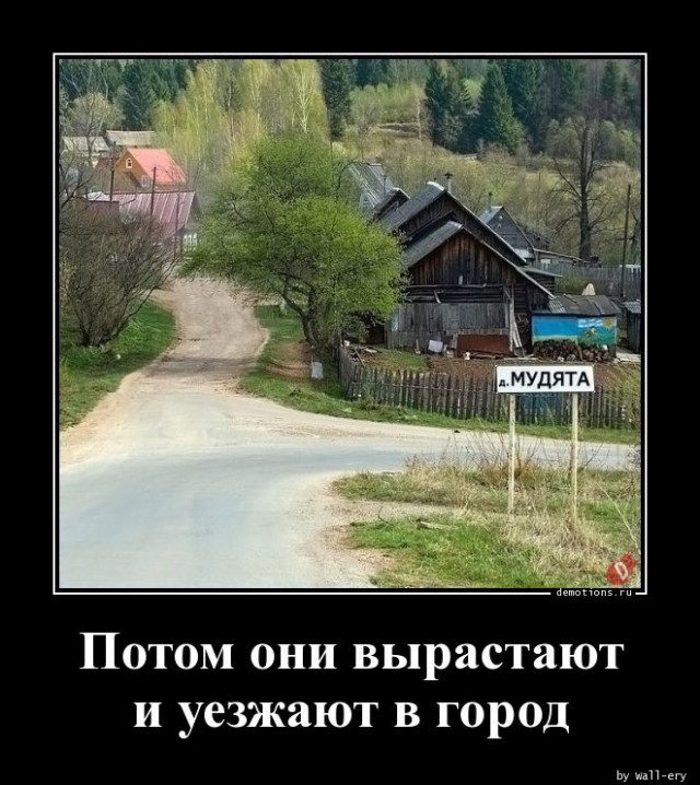 Прикольных демотиваторов пост