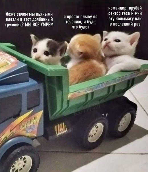 Подборка картинок. Вечерний выпуск