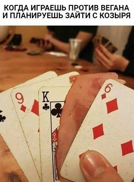 Лучшие шутки и мемы