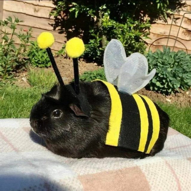 Фотоприколы