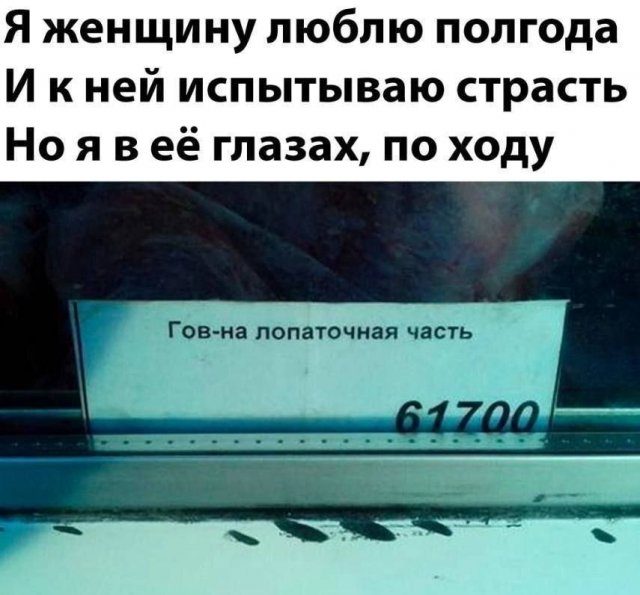 Смешные картинки