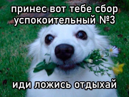 Приколы