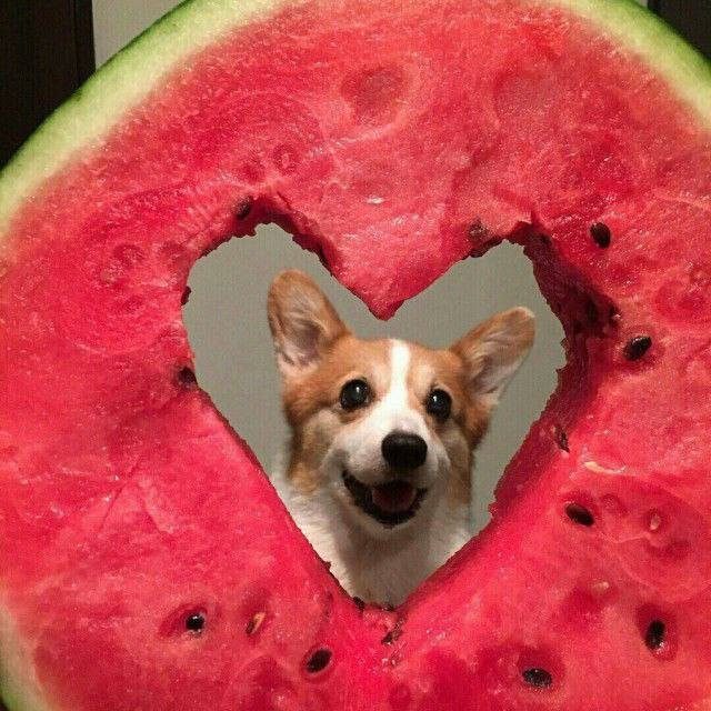 Лучшие шутки