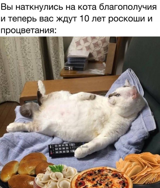 Лучшие шутки