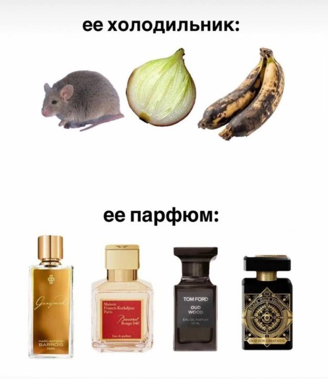 Лучшие шутки и мемы из Сети