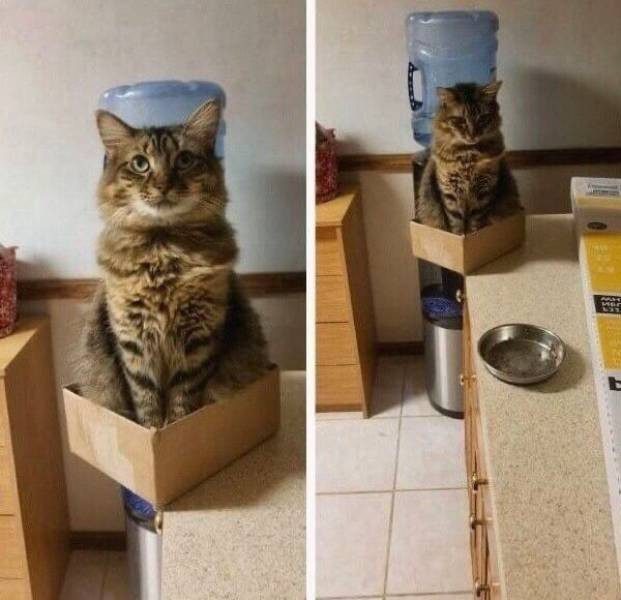 Фотошутки дня