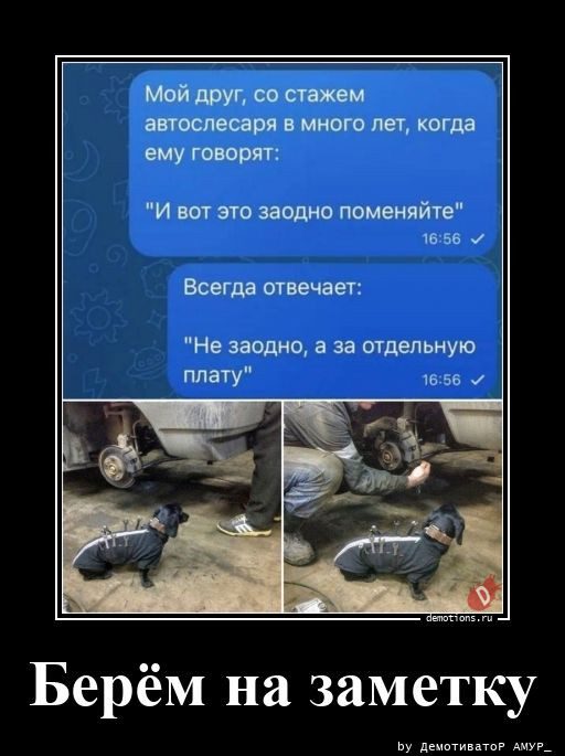 Демотиваторы дня