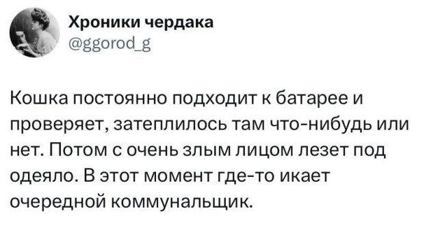 Фотошутки дня